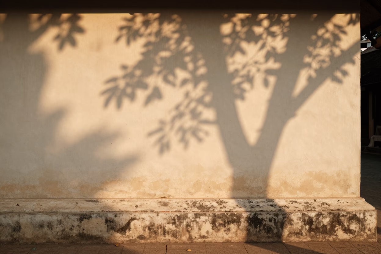 Luang Prabang Leaf Shadows at The Late Afternoon Light in in Luang Prabang, Laos