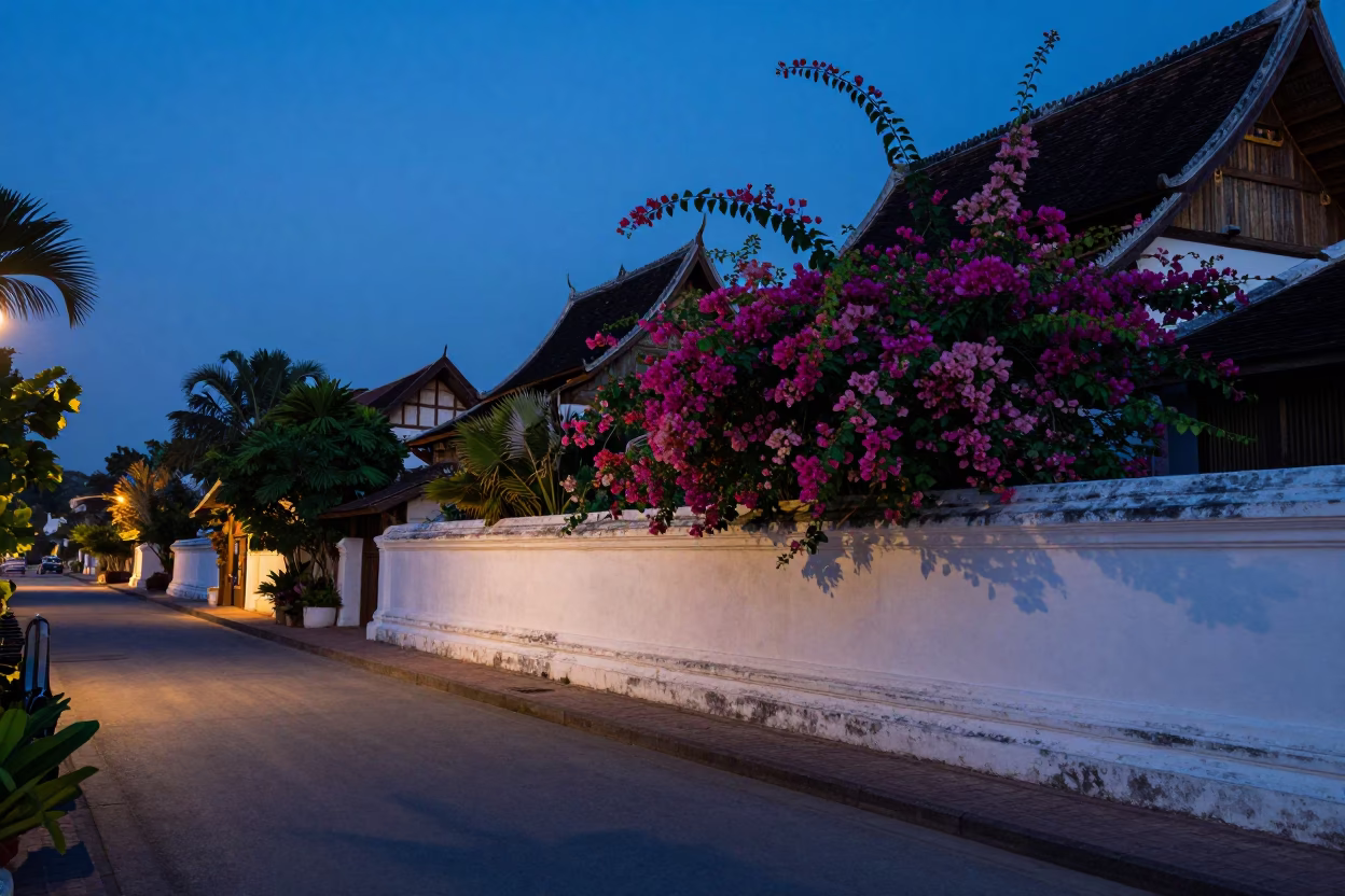 Luang Prabang Twilight Street Scene with Bougainvillea and Traditional Architecture in in Luang Prabang, Laos