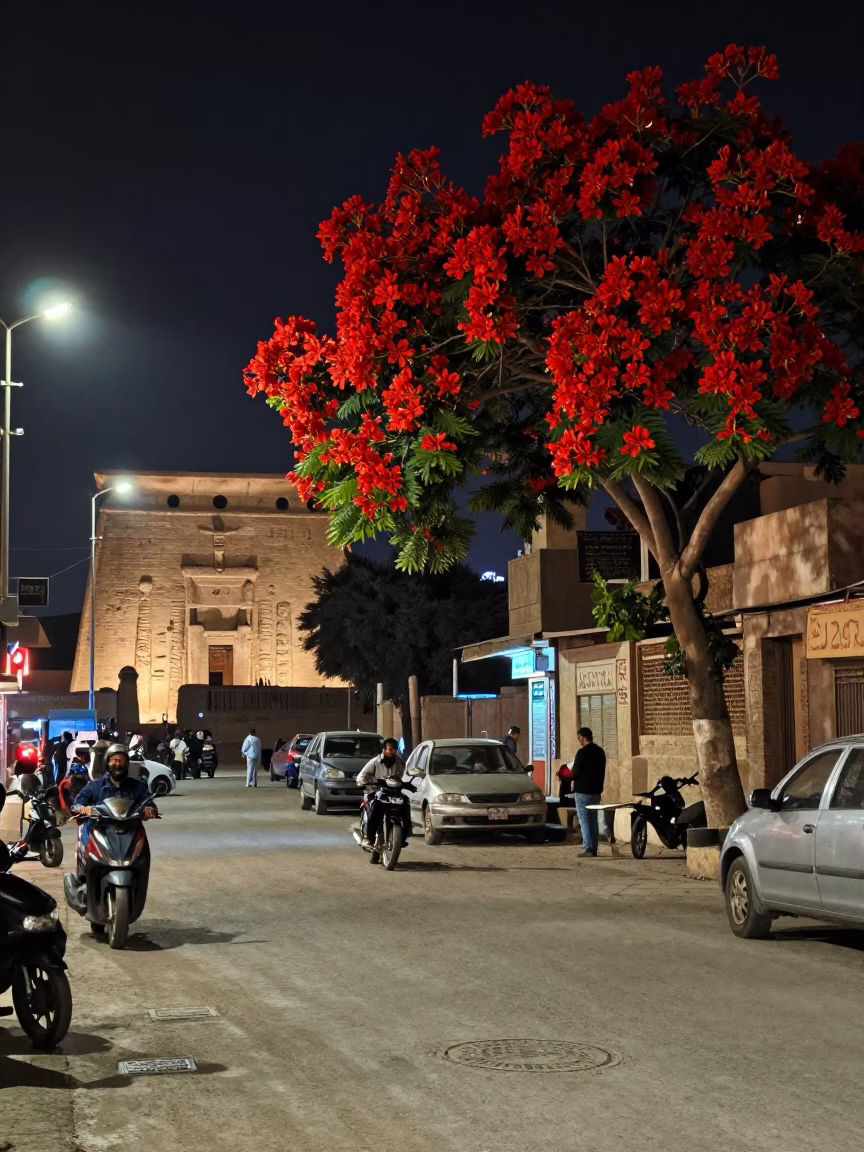 Luxor Egypt Midnight Street Scene with Flame Tree Bloom and Traditional Calligraphy in in Luxor, Egypt