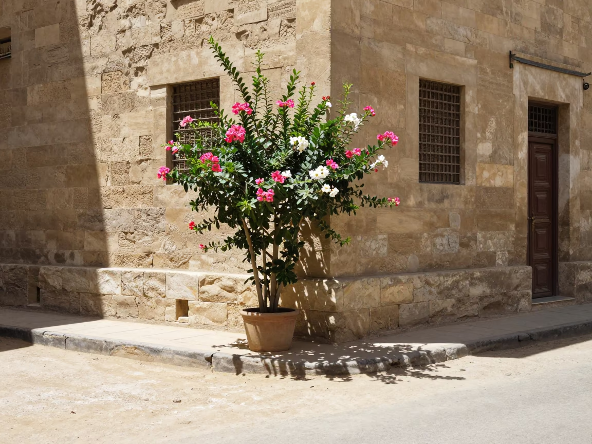 Luxor Egypt Noon Sunlight Street Scene with Flowering Plant and Stone Architecture in in Luxor, Egypt