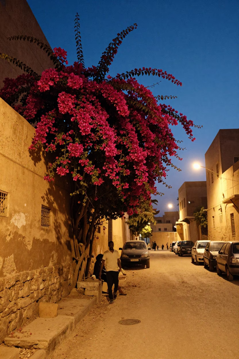 Luxor Egypt Twilight Street Scene with Bougainvillea and Local Life in in Luxor, Egypt