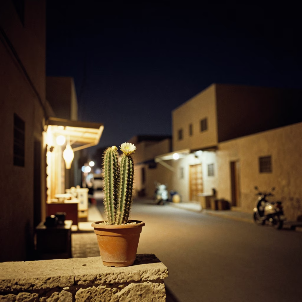 Luxor Night Street Scene with Cactus Bloom and Local Market Elements in in Luxor, Egypt