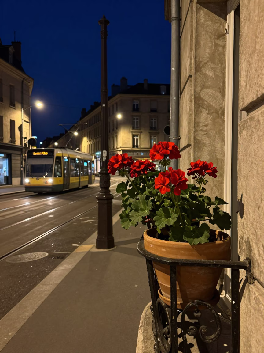 Lyon Night Street Scene with Potted Geraniums and Tramway Gondola Above in in Lyon, France