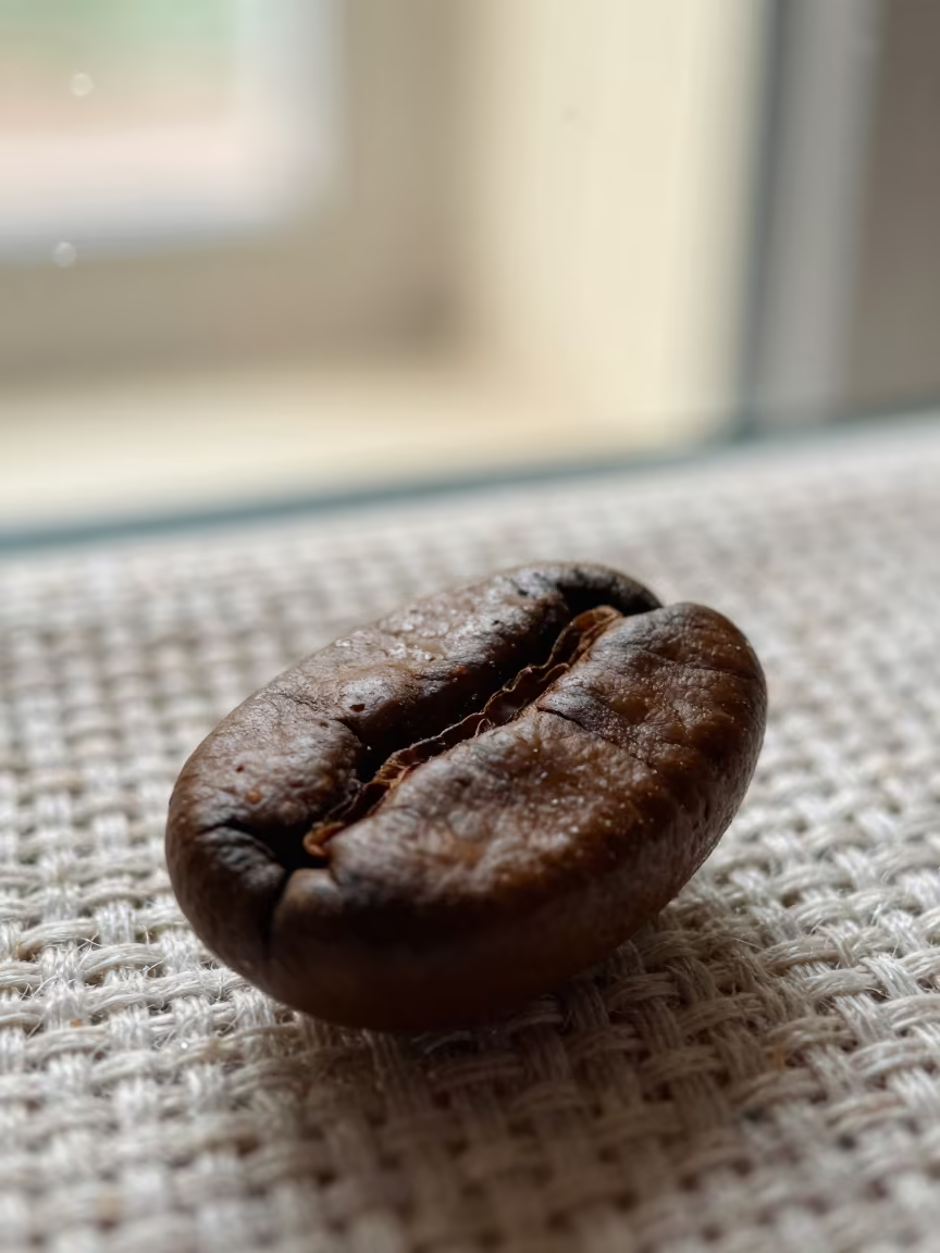 Macro Coffee Bean Texture Near Linen in against woven linen fibers near Oskemen