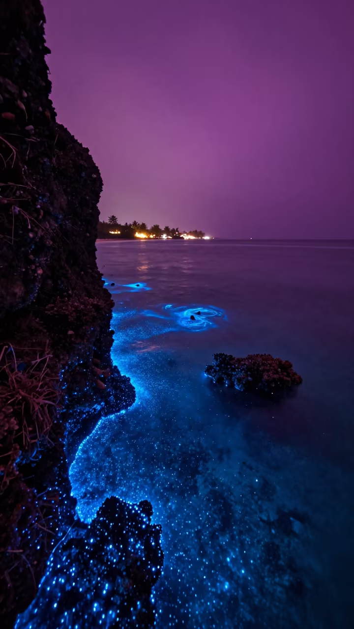 Magenta Sky Over Bioluminescent Reef Waves Zanzibar in beside a reef crevice under clear water near Zanzibar
