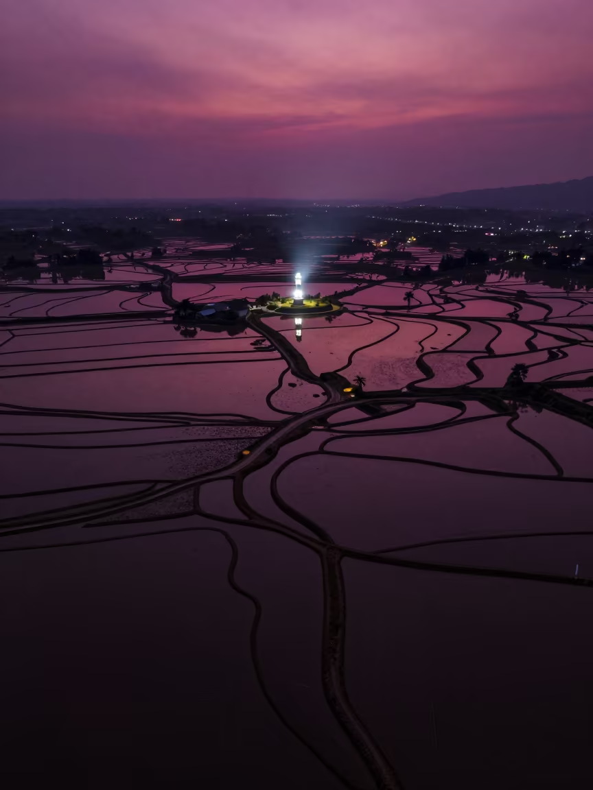 Magenta Sky Over Flooded Rice Terraces in along freshly irrigated rows near Ho Chi Minh City