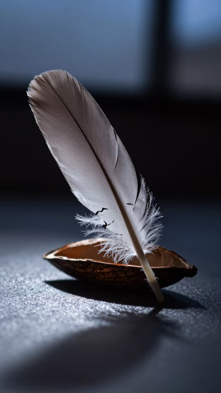 Magnified Feather Barb and Hairline Cracks in inside a seed pod split open in Memphis