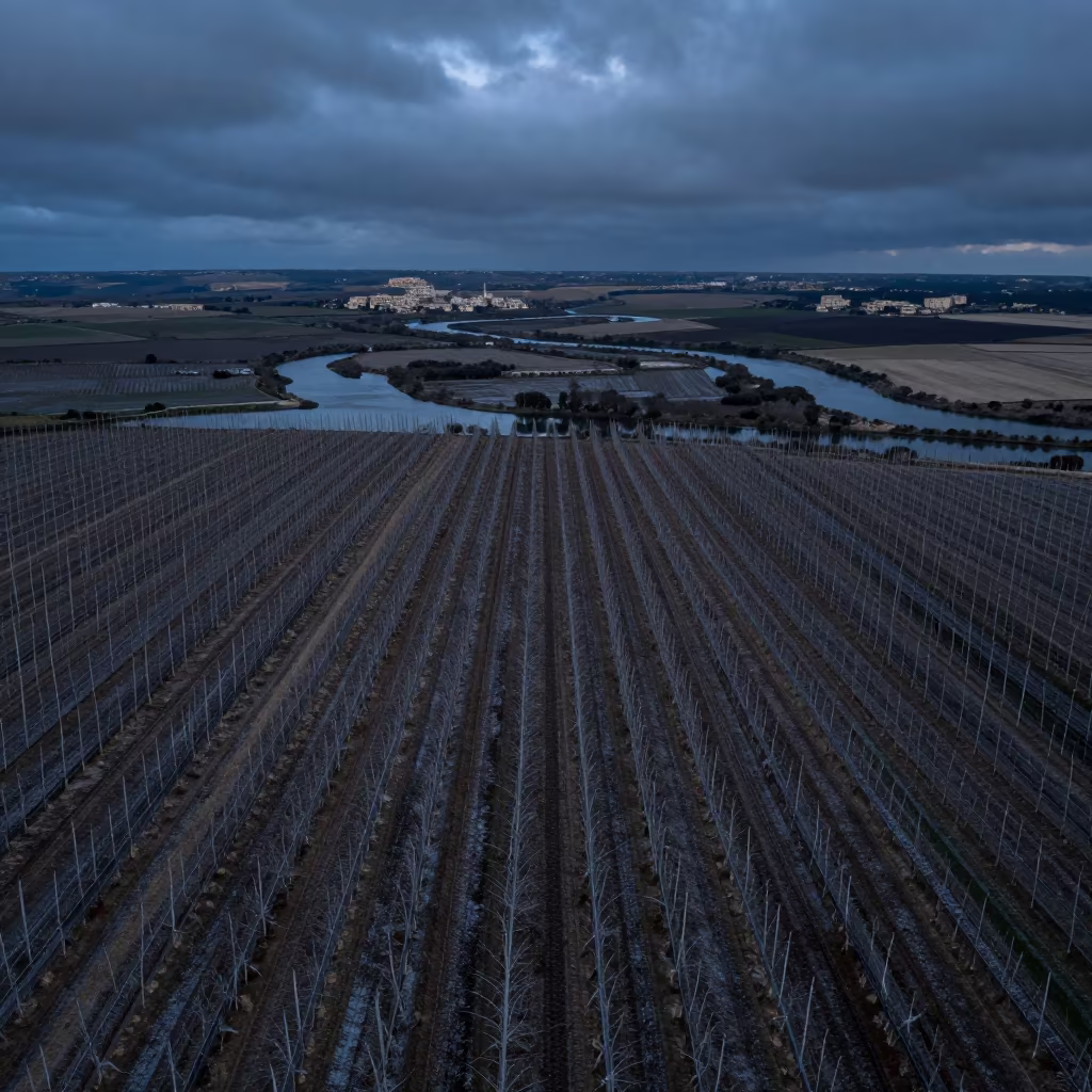 Malta Night Hop Fields Aerial View in high above braided river channels in Malta