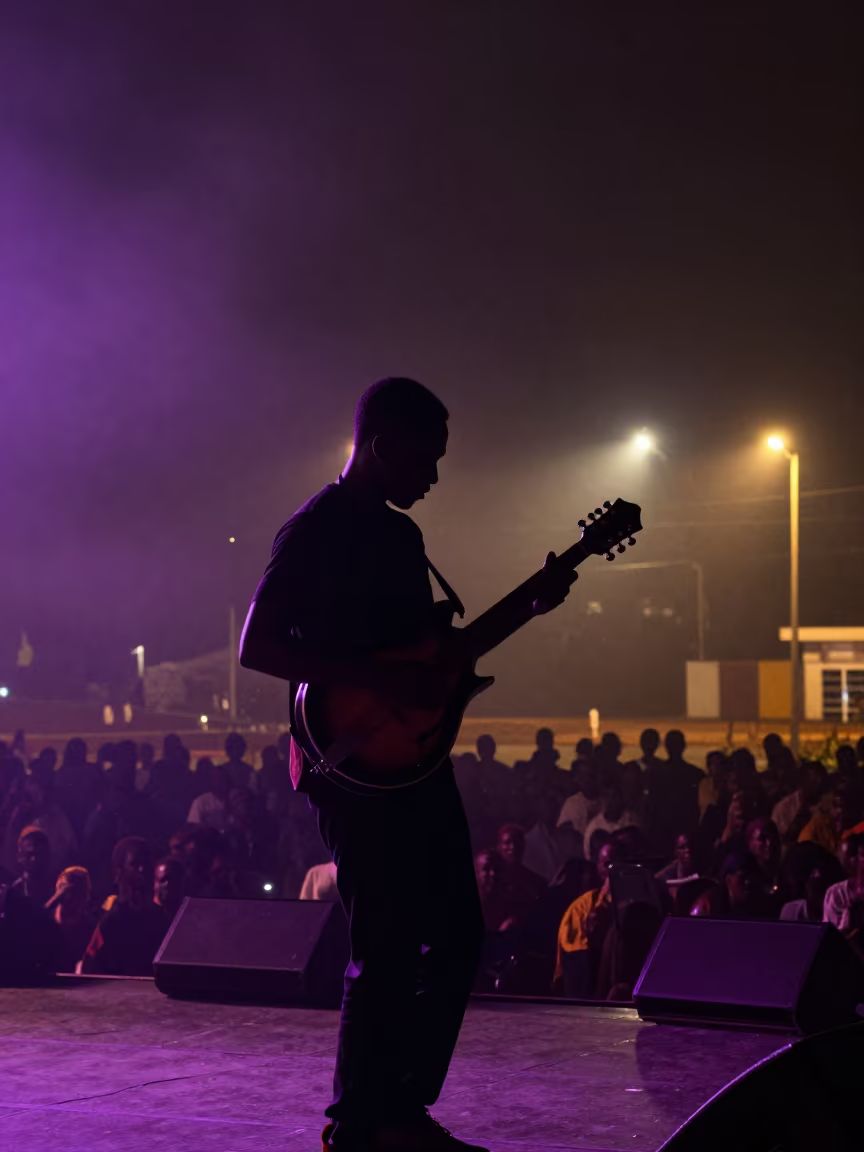 Mandolin Silhouette Night Jam Garoua Hall in in a concert hall in Garoua