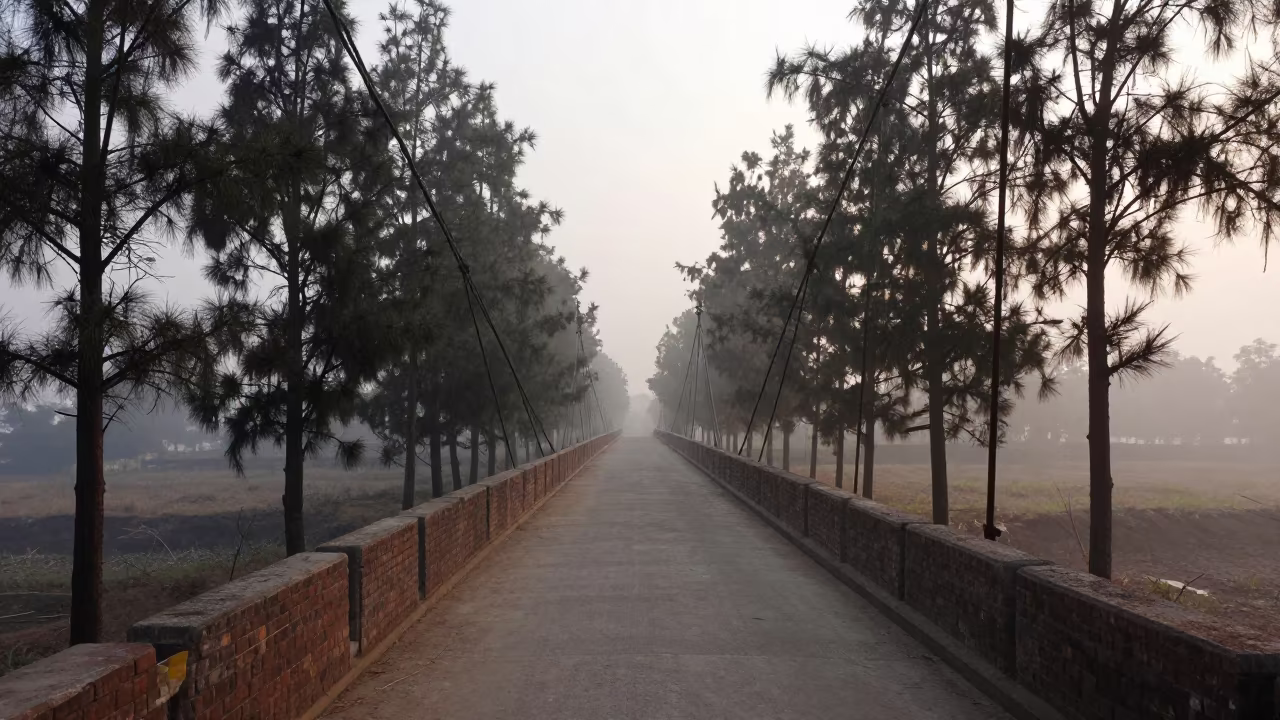 Mandya Viaduct Through Mist and Cypress in along a bridge maintenance walkway near Mandya