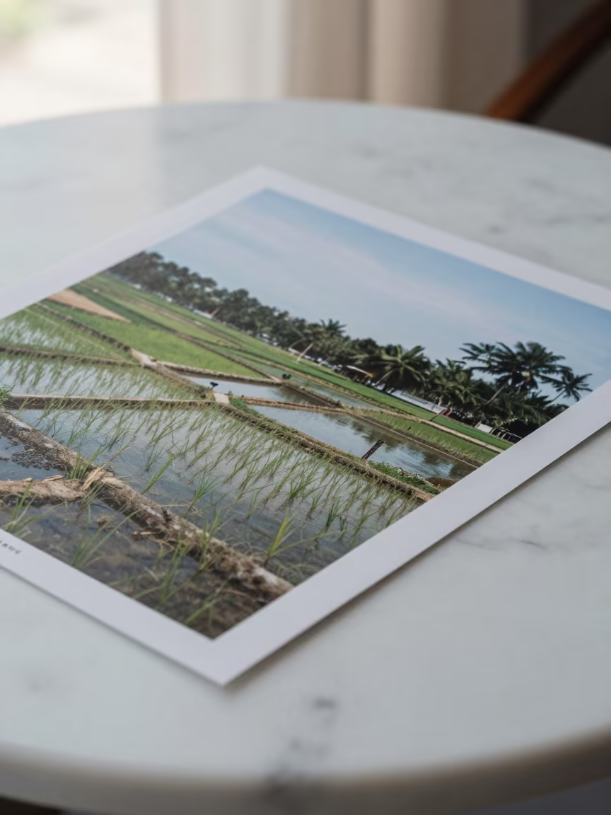 Marble Cafe Table Southeast Asian Fields in on a marble cafe table in Pointe-Noire