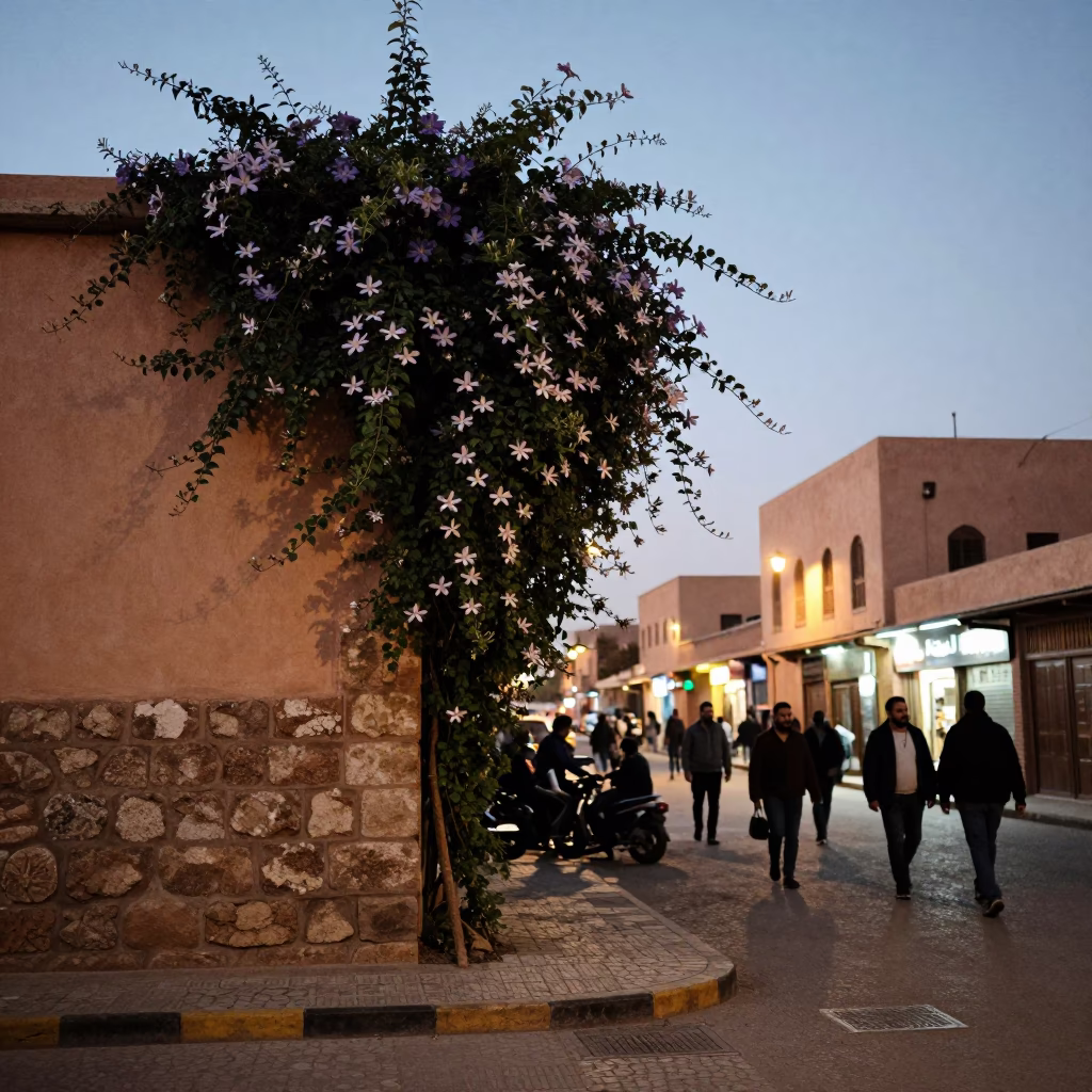 Marrakech Morocco street scene at dusk with clematis vine and traditional food in in Marrakech, Morocco