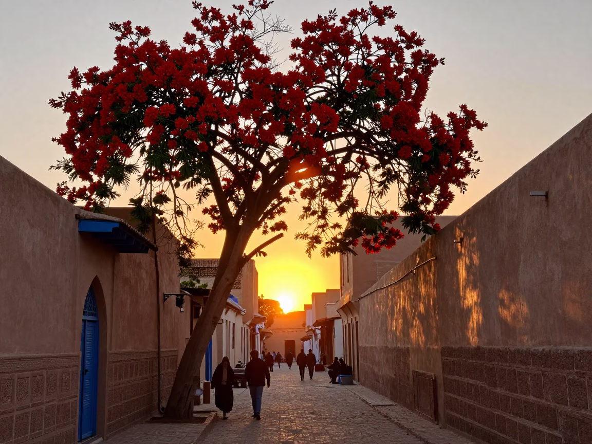Marrakech Morocco Sunset Street Scene with Flame Tree and Indigo Fabric in in Marrakech, Morocco