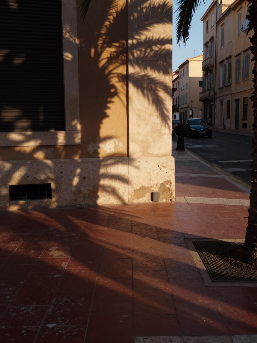 Marseille France Early Evening Street Scene with Leaf Shadows and Plaster Walls in in Marseille, France