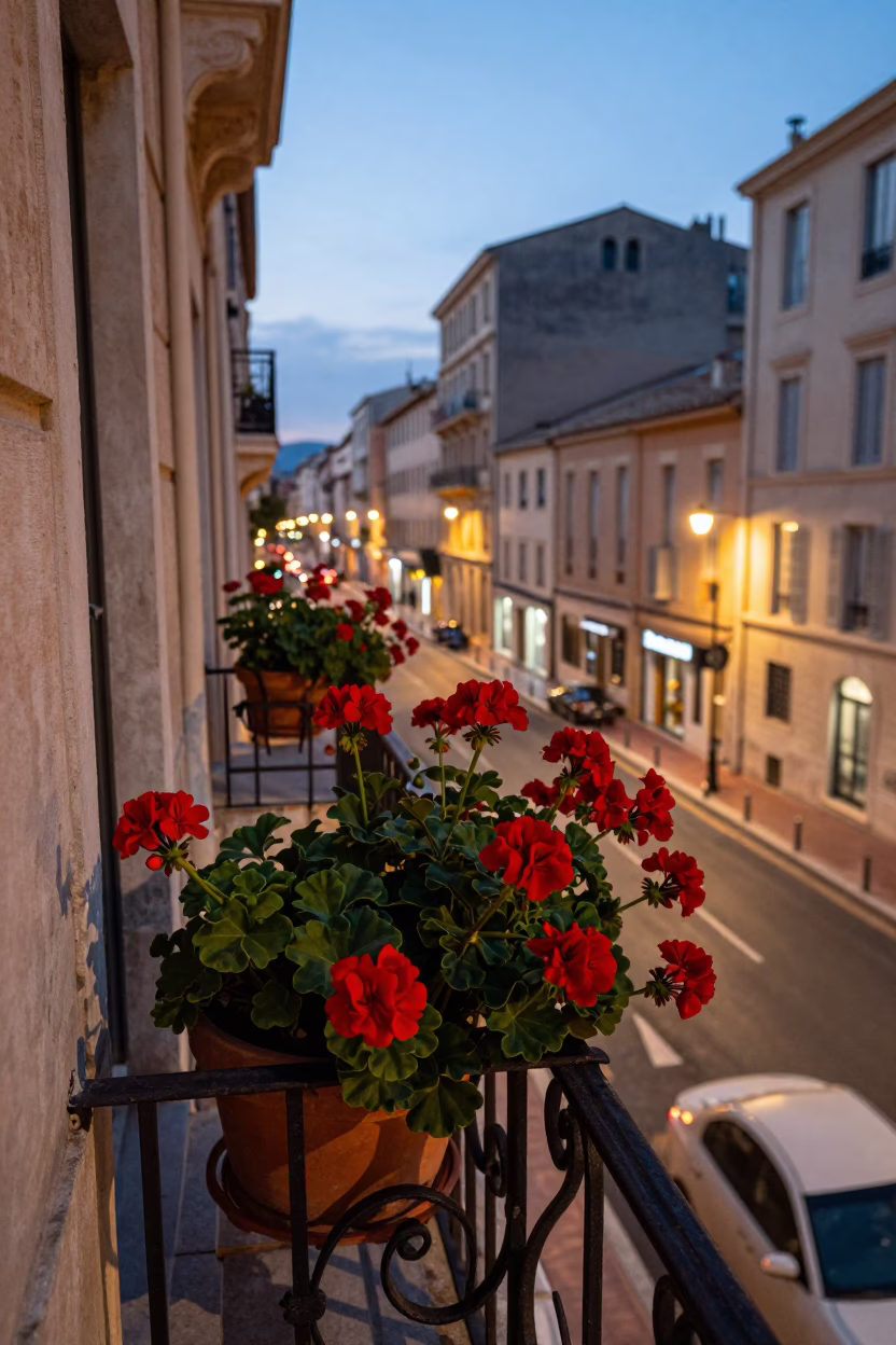 Marseille French Street Scene at Dusk with Geraniums and Jam Jar in in Marseille, France