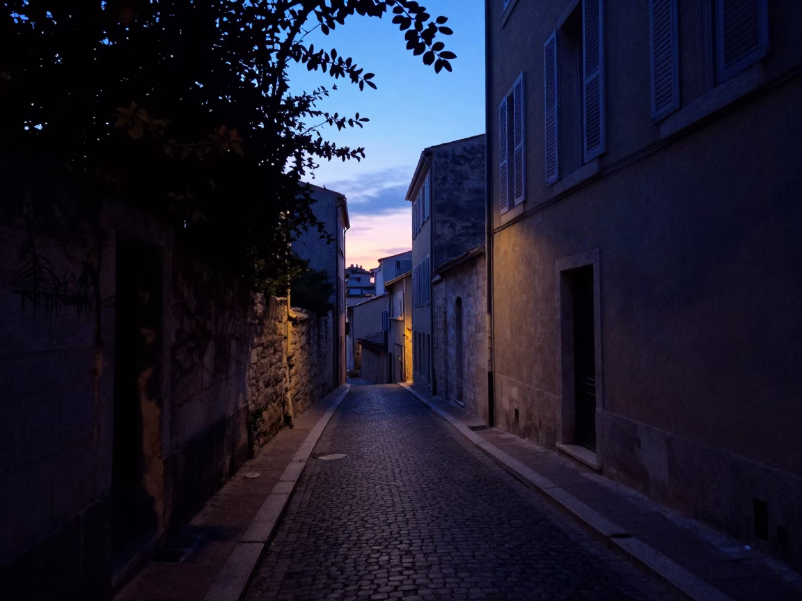 Marseille indigo twilight street scene with leaf shadows and vintage majolica plate in in Marseille, France