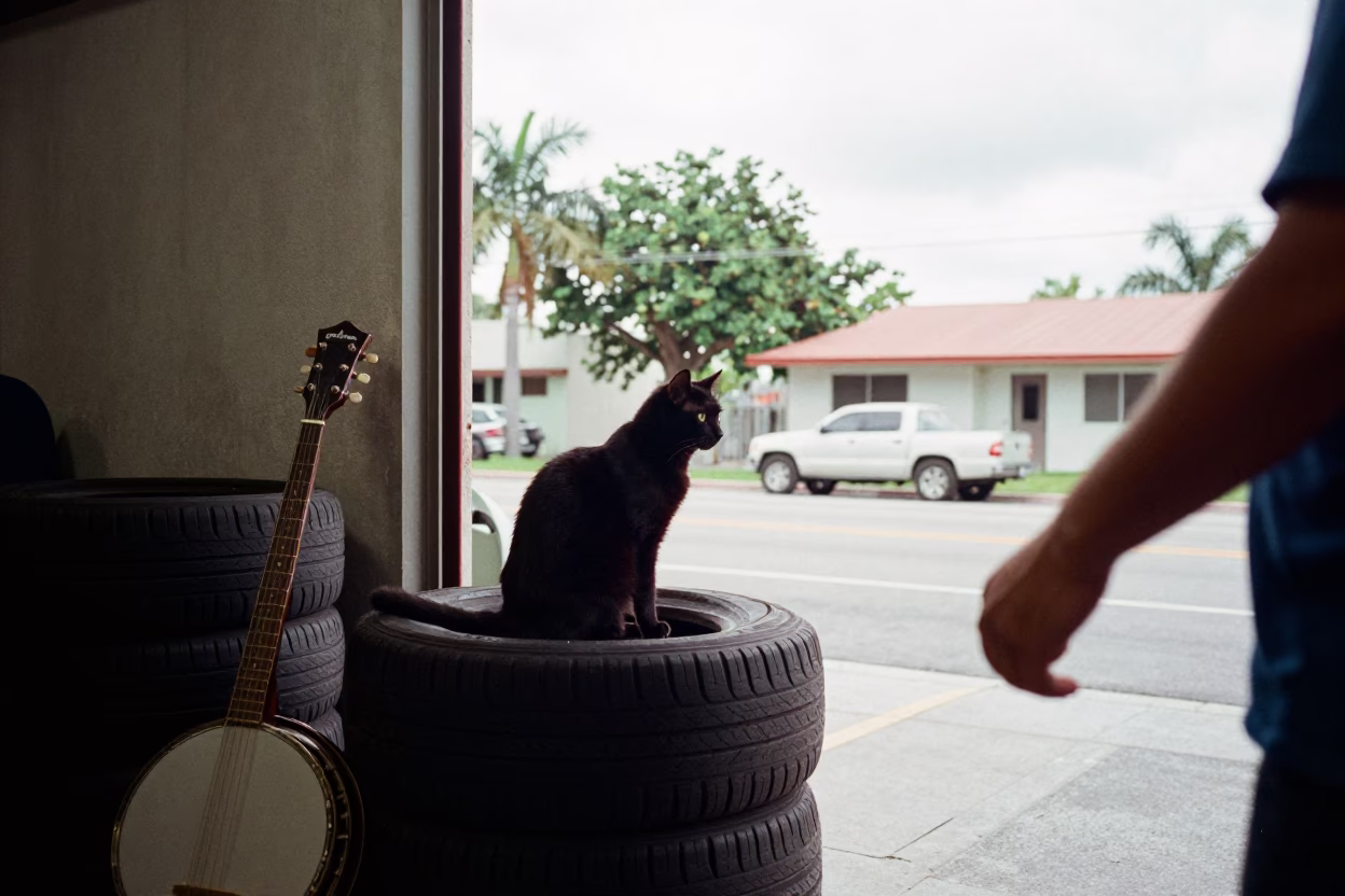 Mechanic's Garage in Miami in in Miami, Florida, United States