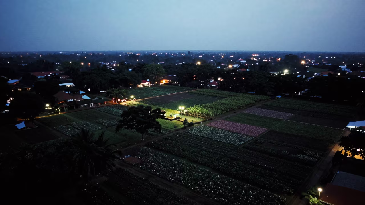 Medan Orchard Patchwork Silhouette City Lights in near Medan