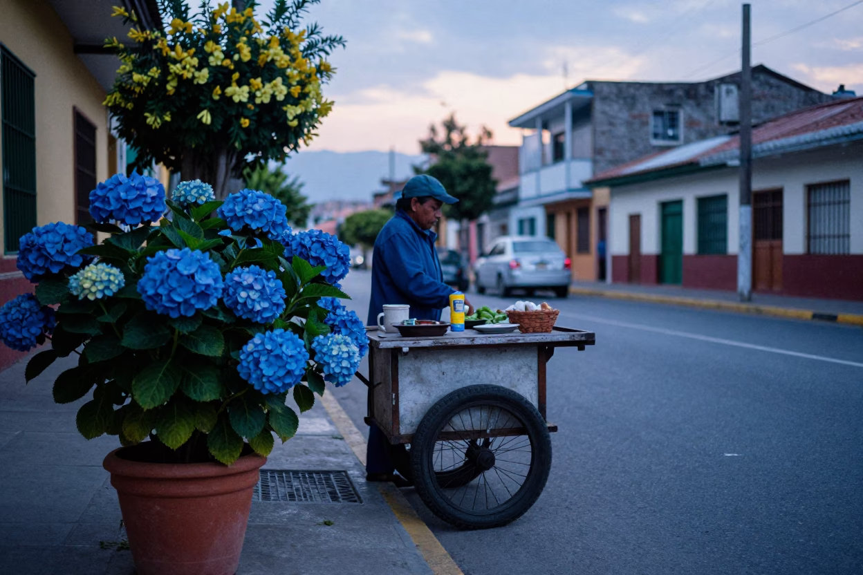 Medellin Colombia Nautical Dawn Street Scene with Hydrangeas and Caster Wheel in in Medellin, Colombia