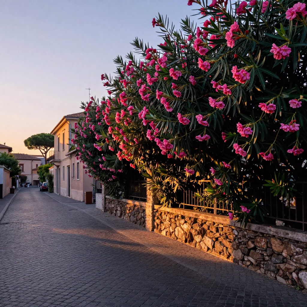 Mediterranean Lane at First Light Of Dawn in Rome in in Rome, Italy