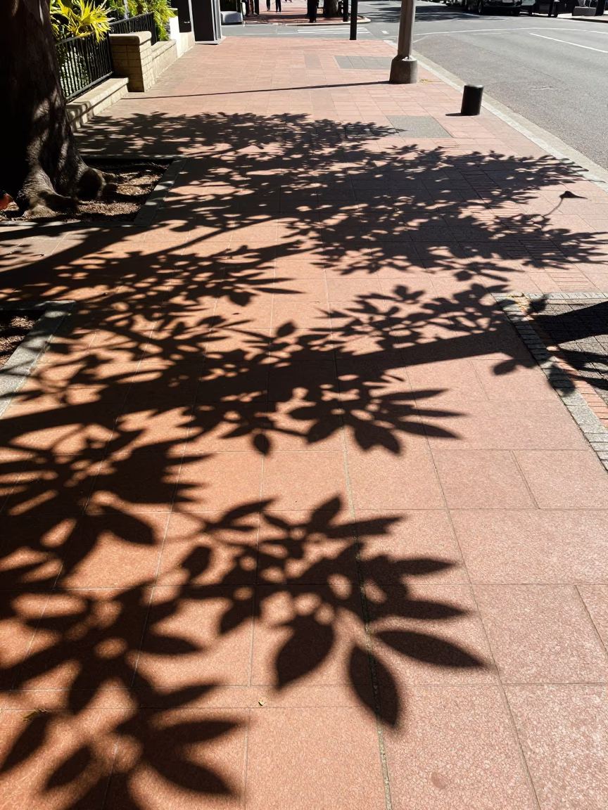 Melbourne Australia Noon Leaf Shadows on Tiles Street Scene in in Melbourne, Victoria, Australia