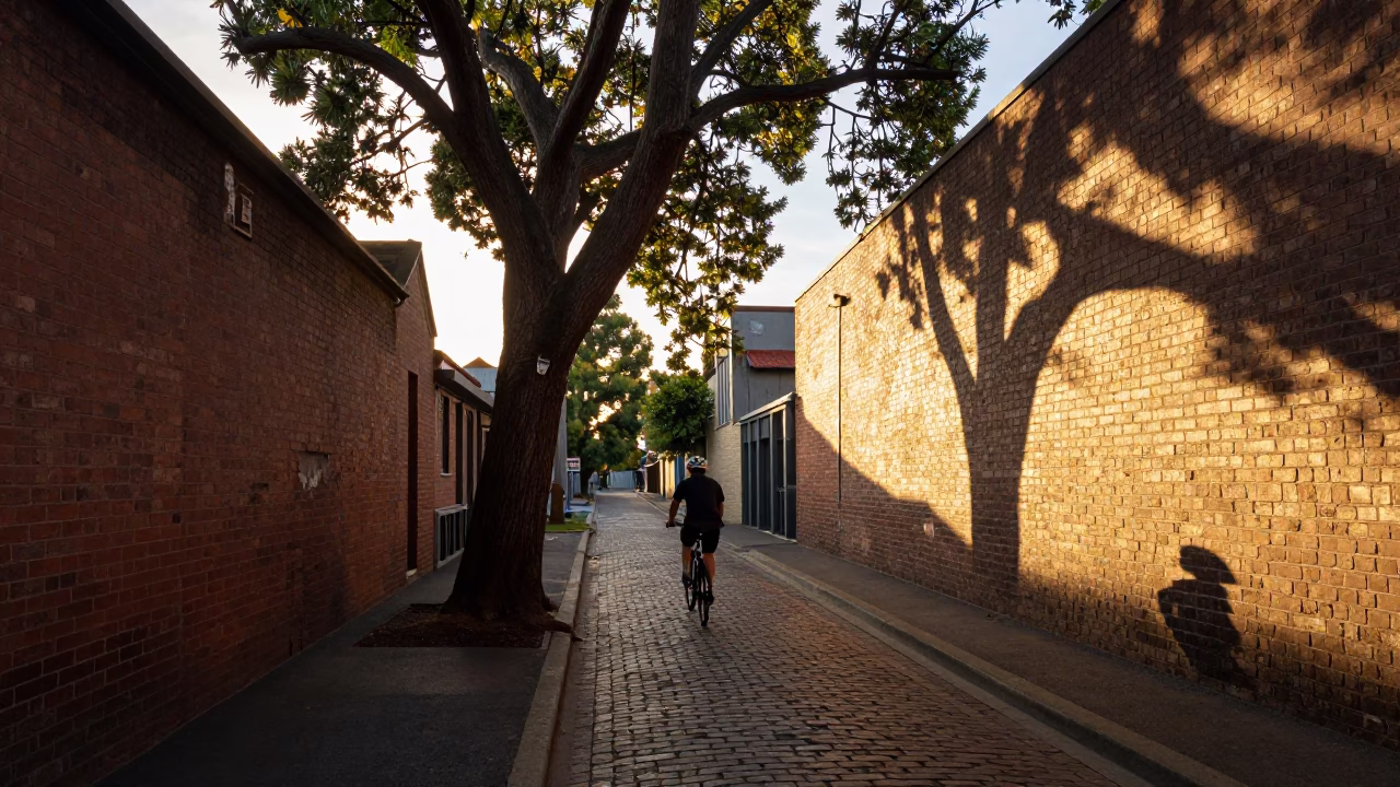 Melbourne laneway evening scene with cyclist and tree in honeyed light in in Melbourne, Victoria, Australia