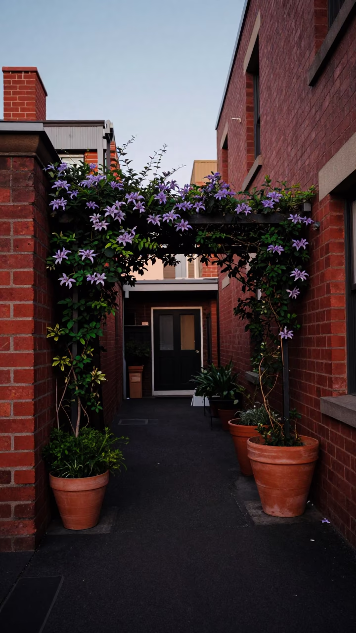 Melbourne Laneway Evening with Terracotta Pots and Clematis Pergola in in Melbourne, Victoria, Australia