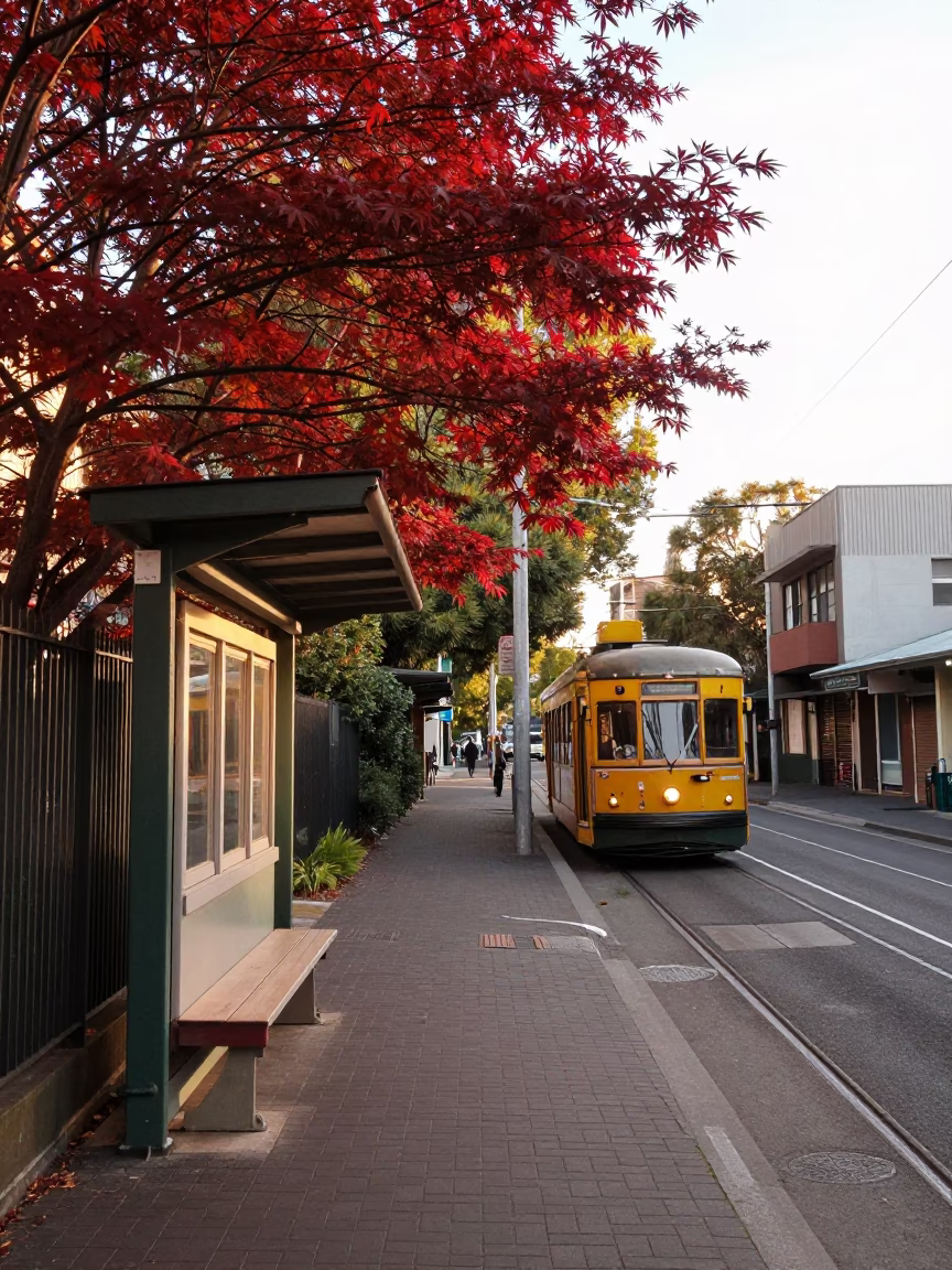 Melbourne laneway tram stop with Japanese maple and vintage majolica plate in in Melbourne, Victoria, Australia