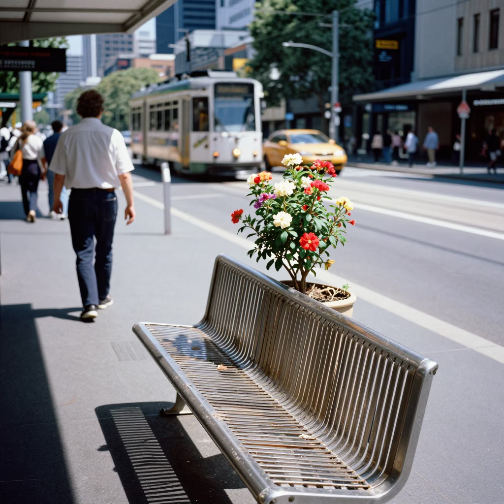 Melbourne Tram Stop Afternoon Scene with Flowering Plant and Rusty Basin Detail in in Melbourne, Victoria, Australia