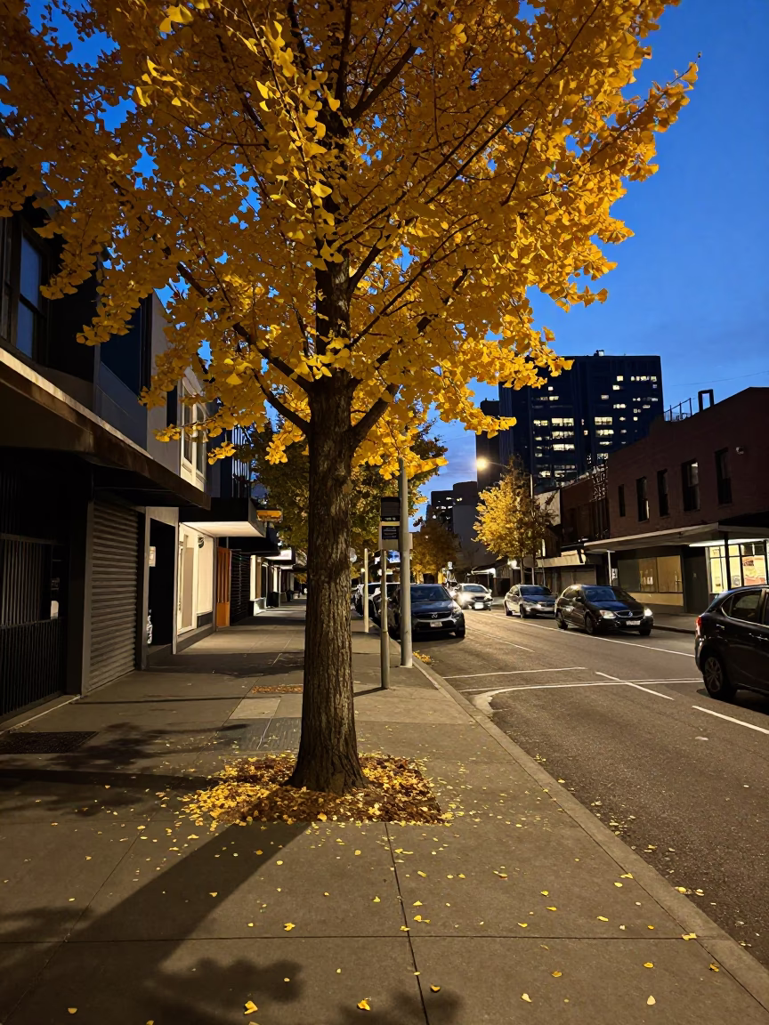 Melbourne Twilight Street Scene with Ginkgo Tree and Urban Life in in Melbourne, Victoria, Australia