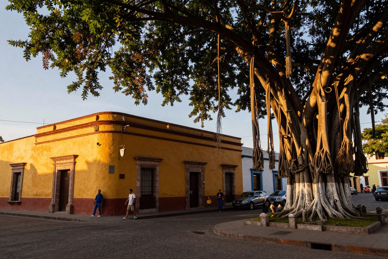 Merida Mexico Golden Hour Street Scene with Banyan Tree and Local Life in in Merida, Mexico