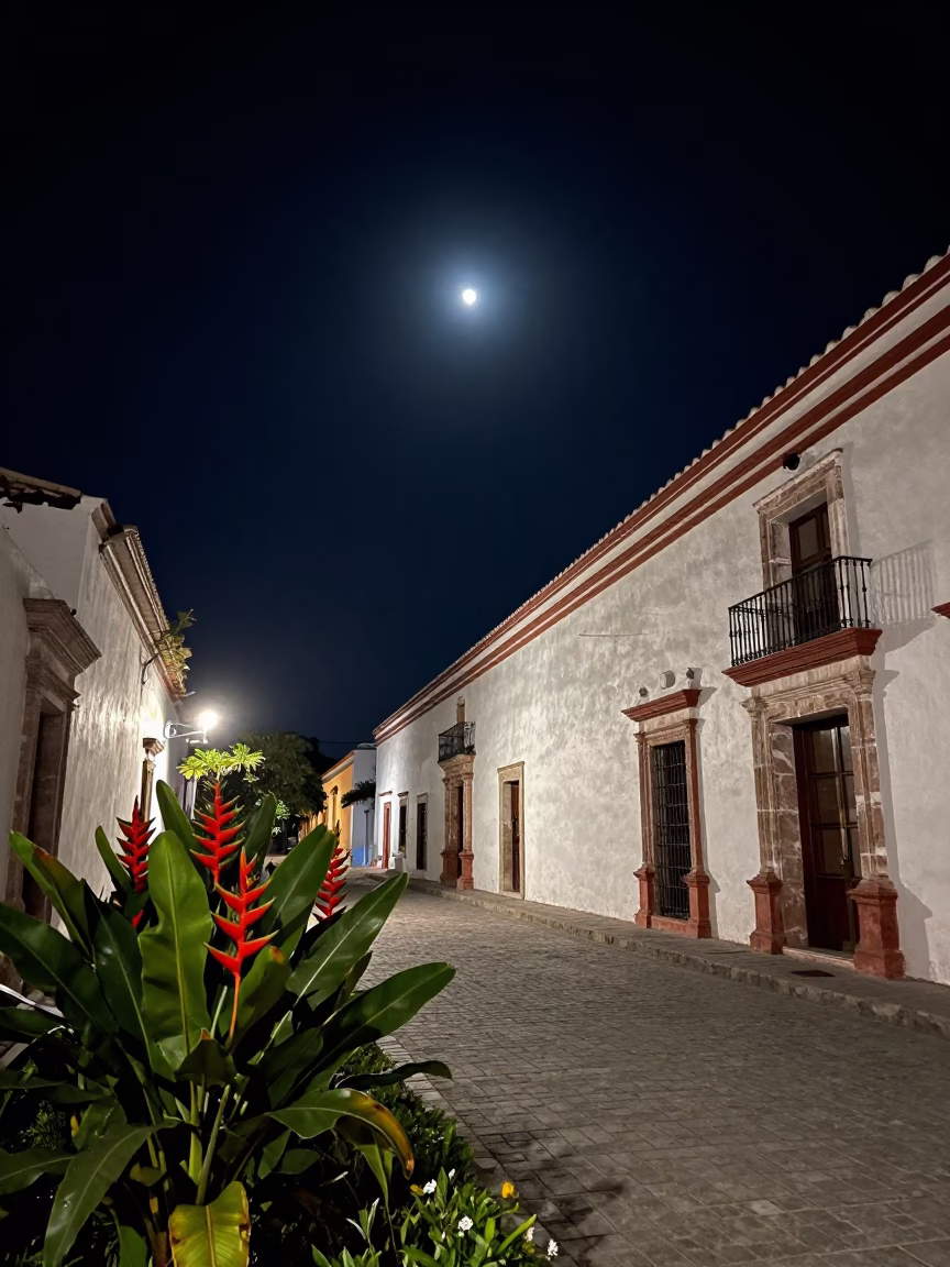 Merida Mexico Night Scene with Heliconia and Colonial Architecture in in Merida, Mexico