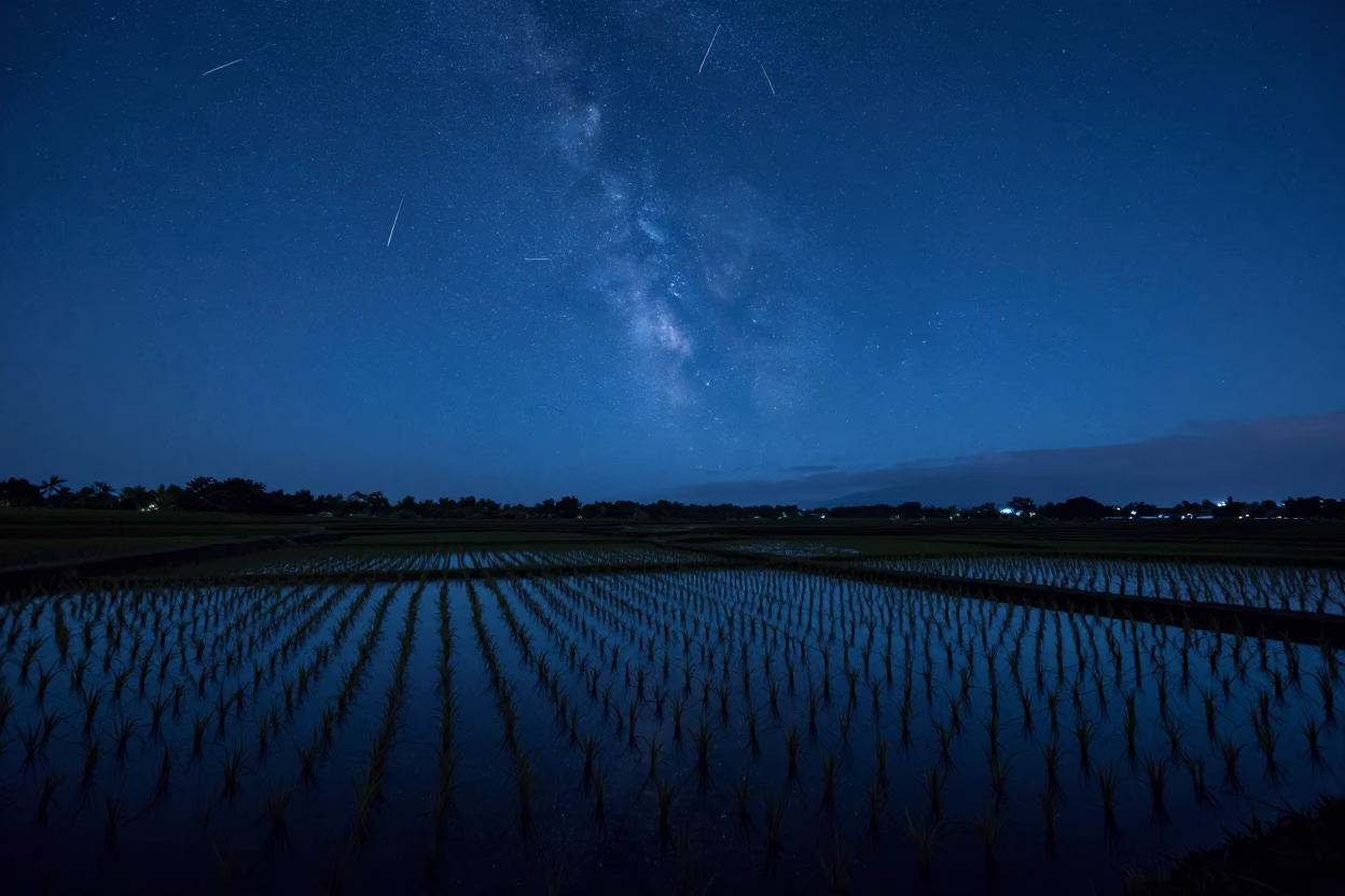 Meteor Shower Over Hawaii Rice Paddy Night in in Hawaii