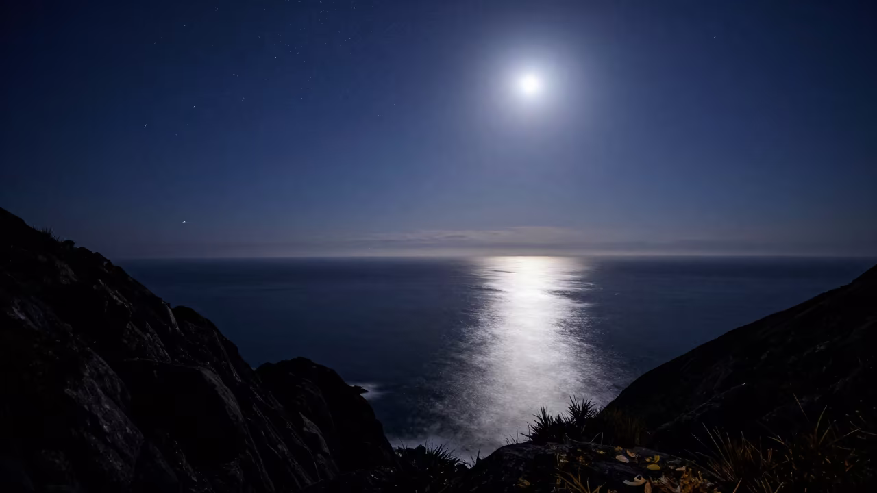 Meteor Shower Reflection on Calm Ocean at Midnight in from a quiet alpine saddle near Vila Nova de Gaia, Porto