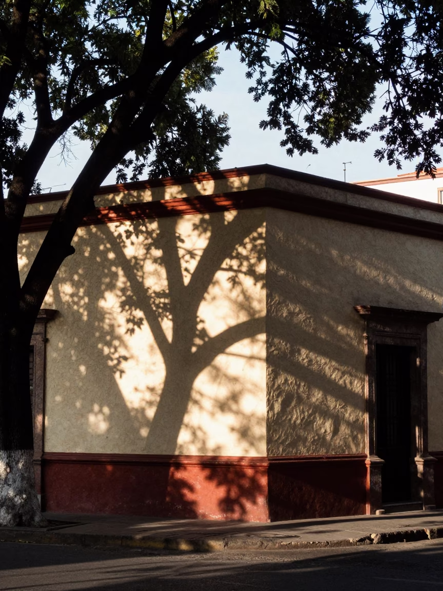 Mexico City Early Afternoon Street Scene with Leaf Shadows on Plaster Wall in in Mexico City, Mexico