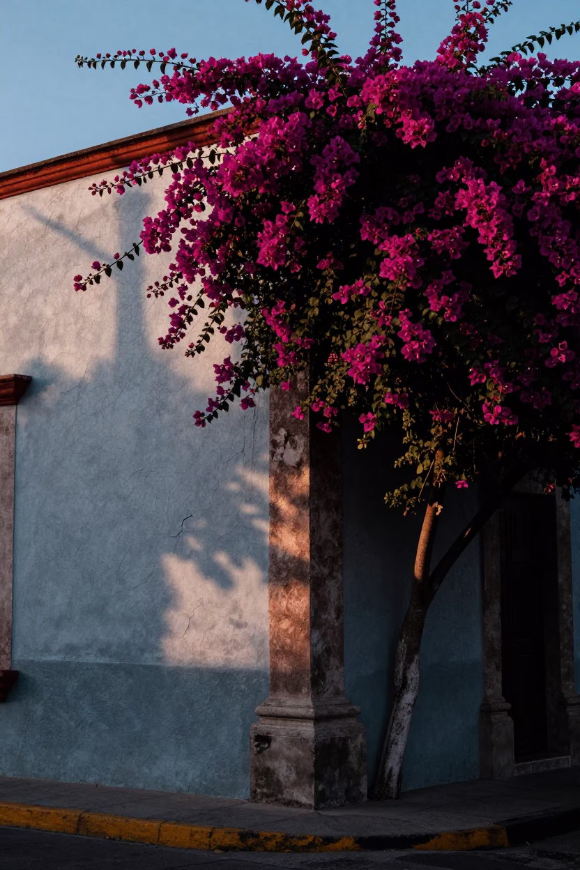Mexico City Street Corner at Nautical Dawn Light in in Mexico City, Mexico