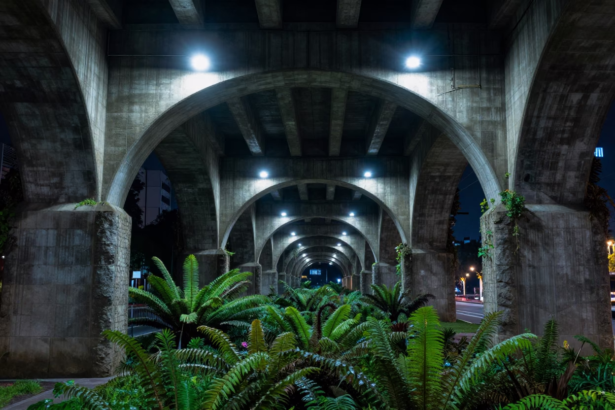 Mexico City Viaduct Undercroft at Deep In The Night Light in in Mexico City, Mexico