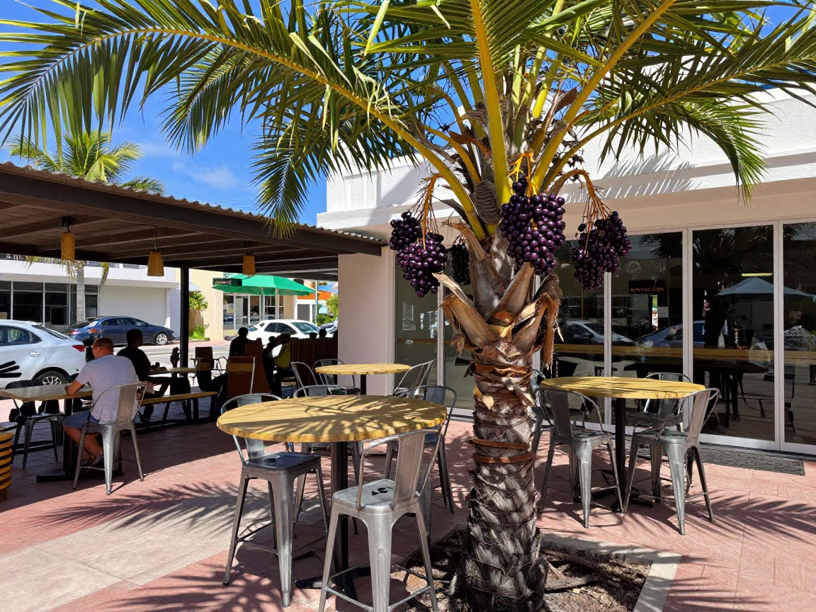 Miami Florida Noon Light Açaí Palm Berries and Metal Stools at Outdoor Cafe in in Miami, Florida, United States