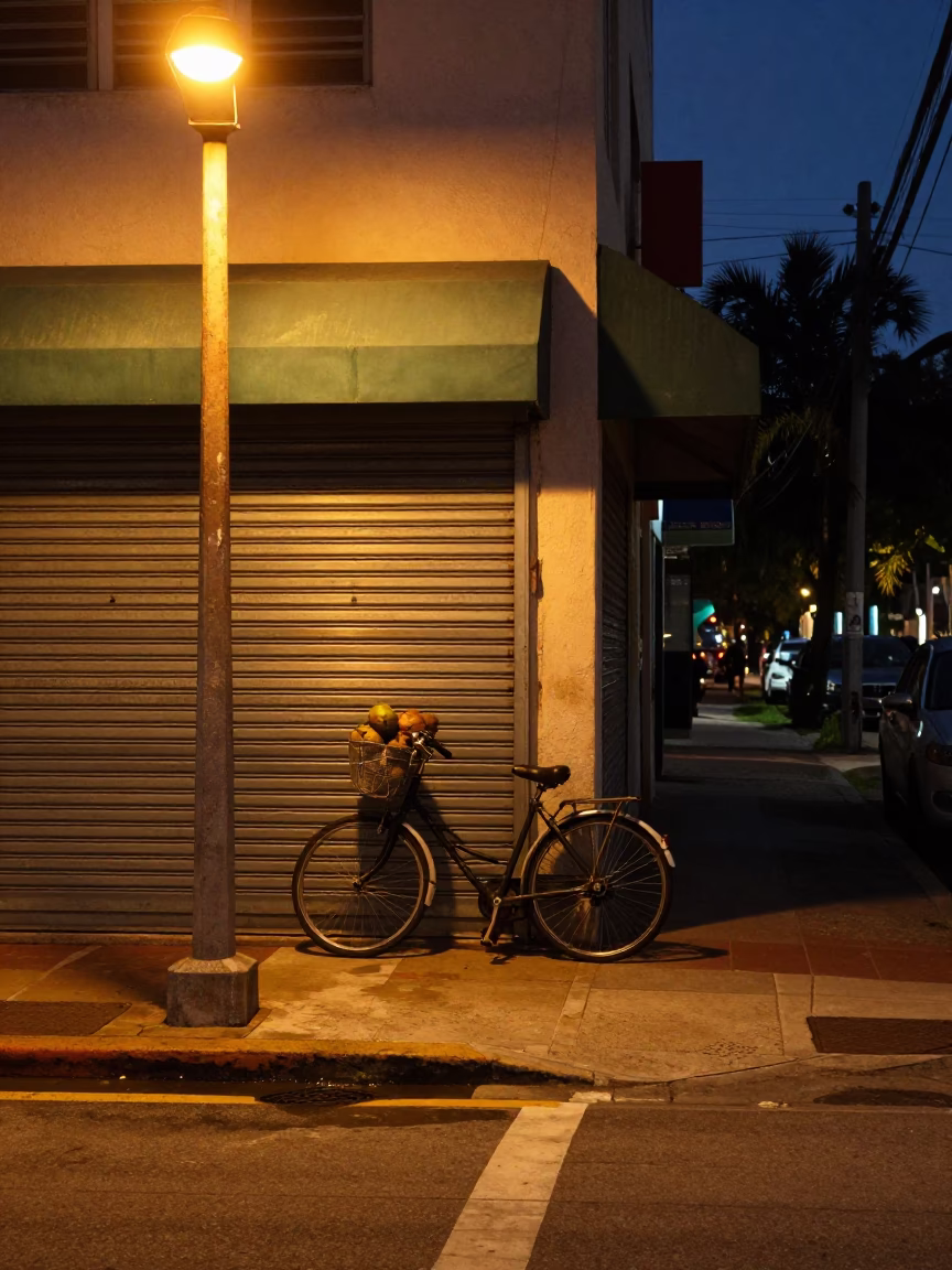 Miami Florida Predawn Street Scene With Bicycle And Coconuts In Darkness in in Miami, Florida, United States