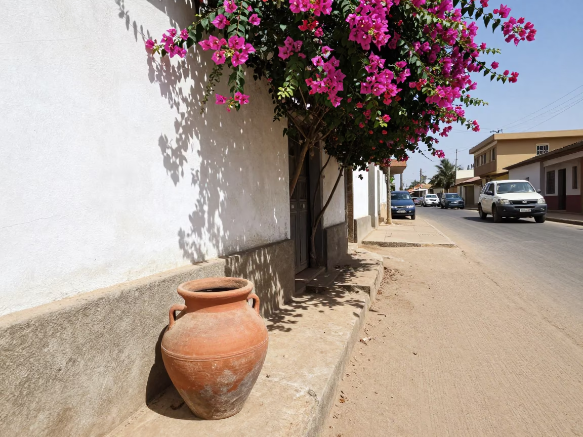 Midday Dakar Senegal Street Scene with Bougainvillea and Clay Pot in in Dakar, Senegal