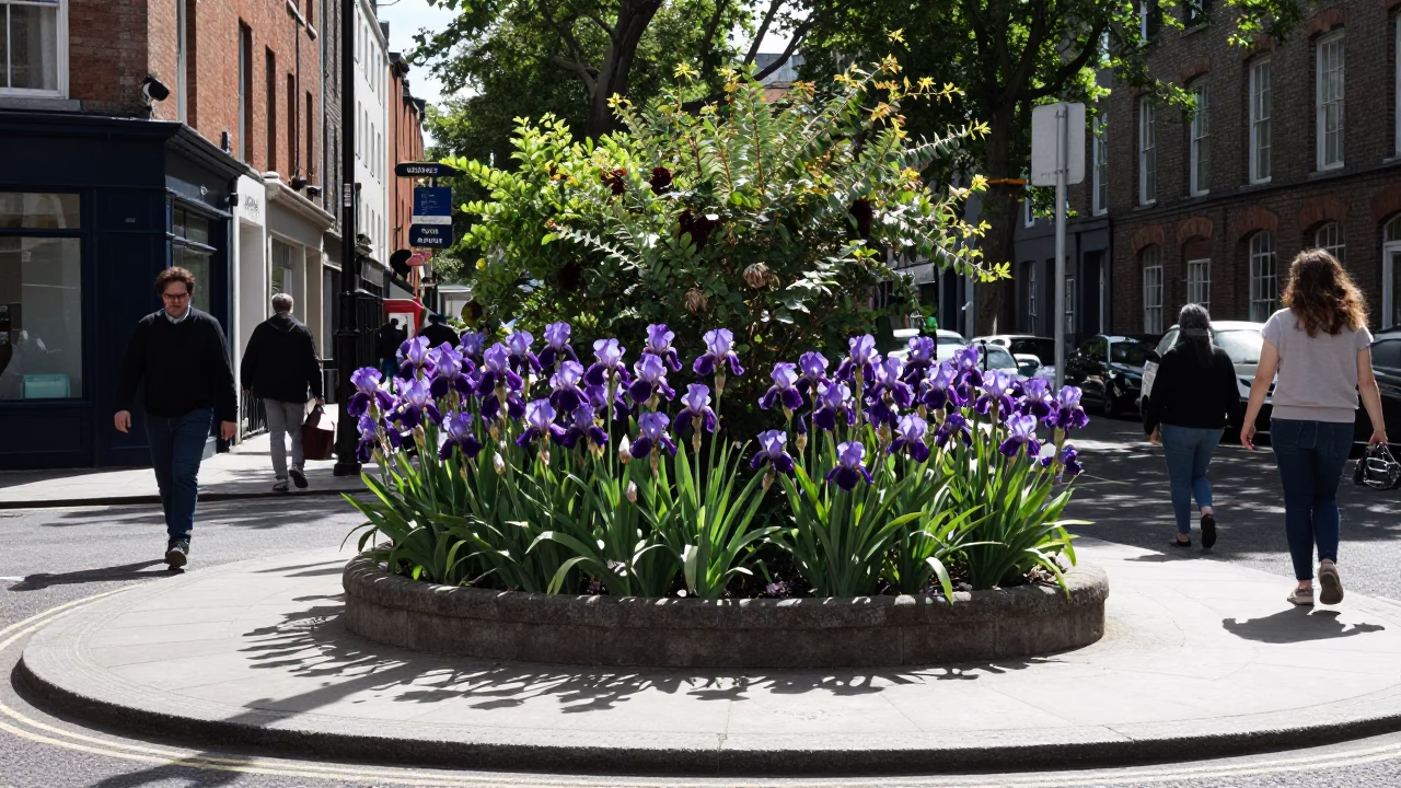 Midday Dublin Street Scene with Iris Garden and Soap Residue in in Dublin, Ireland