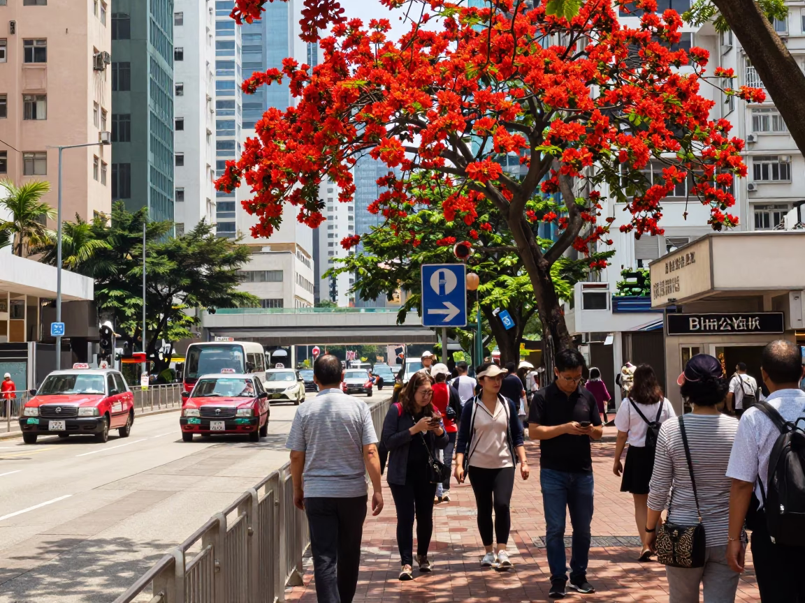 Midday Hong Kong Street Scene with Flame Tree Bloom and Traditional Market Activity in in Hong Kong, Hong Kong
