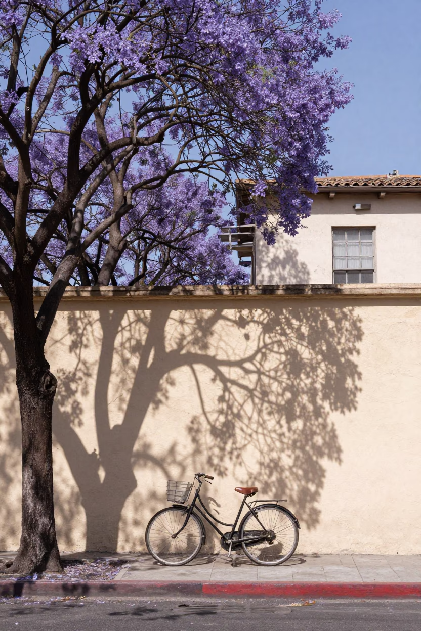 Midday Jacaranda Boulevard Los Angeles Vintage Bicycle Against Stucco Wall in in Los Angeles, California, United States