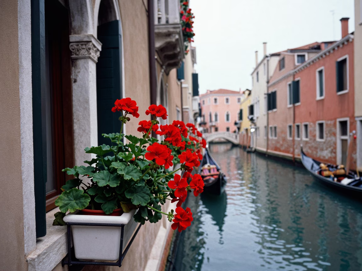 Midday Light on Street Scene in Venice in in Venice, Italy