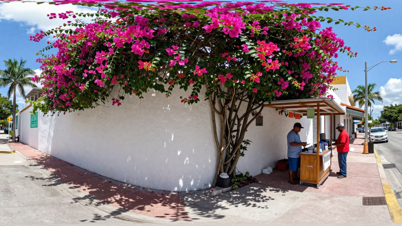 Midday Miami Street Scene with Bougainvillea and Clipboard in in Miami, Florida, United States
