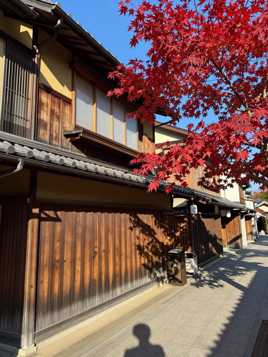 Midday Osaka Street Scene with Crimson Maple and Traditional Tea House Exterior in in Osaka, Japan