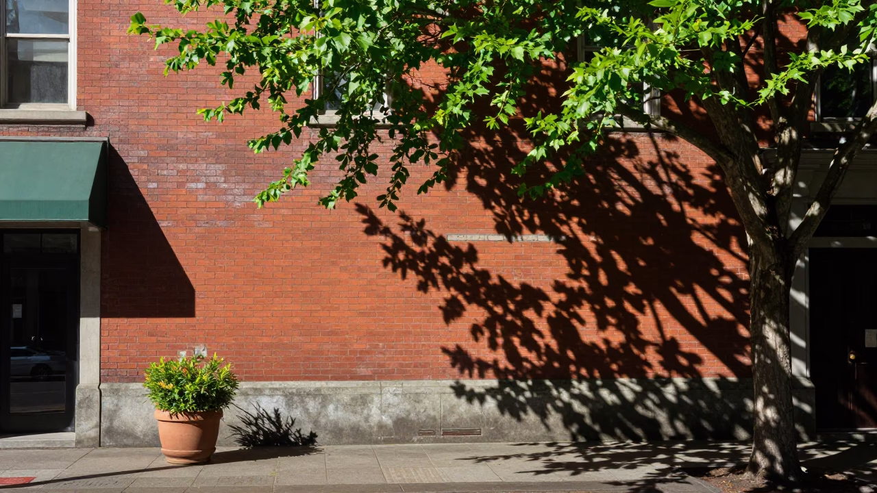 Midday Seattle Street Scene with Leaf Shadows and Potted Succulents on Brick Building Facade in in Seattle, Washington, United States