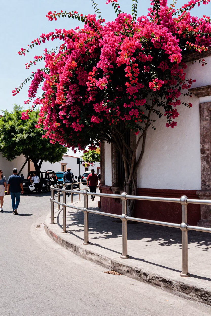 Midday Street Scene in Guadalajara Mexico With Bougainvillea and Brushed Steel Rail in in Guadalajara, Mexico