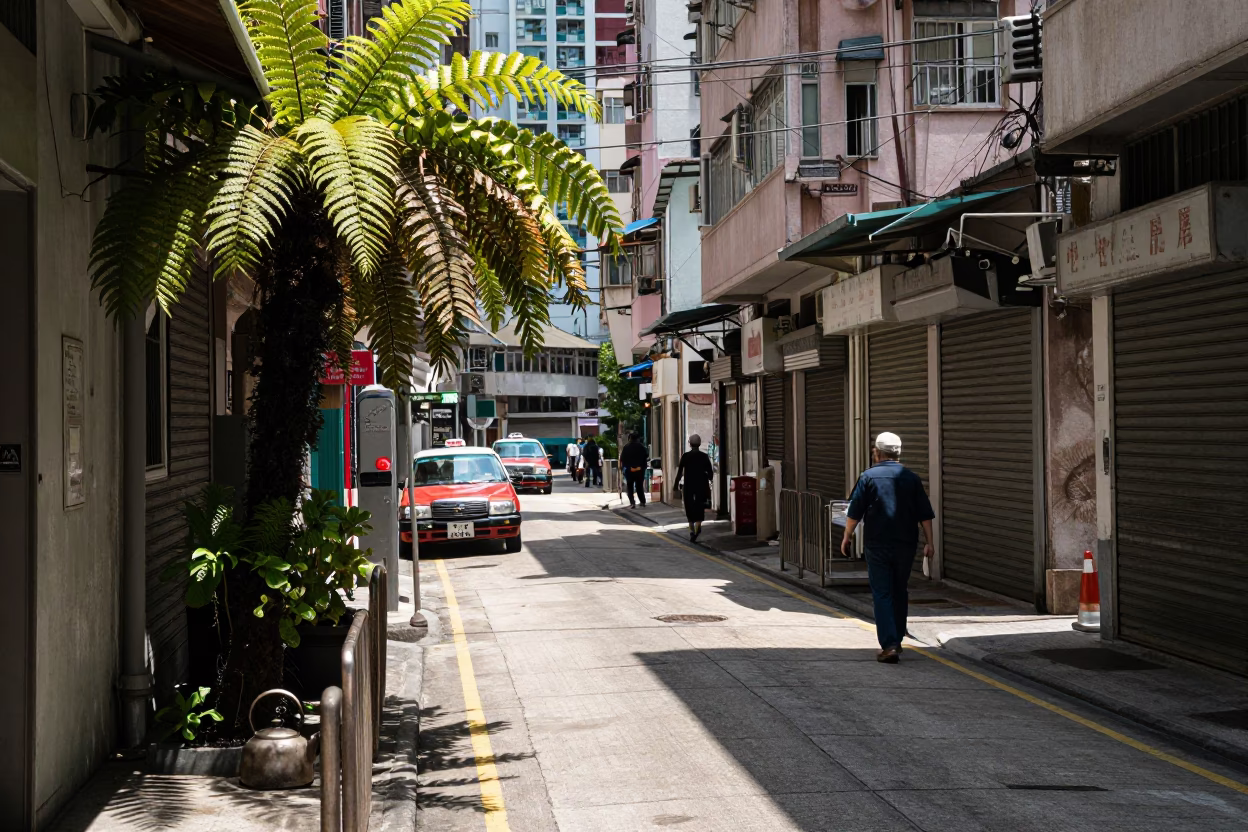 Midday Street Scene in Hong Kong with Staghorn Fern and Kettle Lid in in Hong Kong, Hong Kong