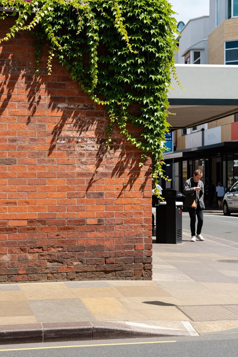 Midday Street Scene in Perth Western Australia with Brick Wall and Ivy in in Perth, Western Australia, Australia